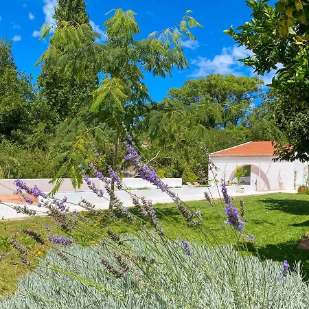 Casa Do Rio شقة *