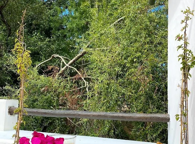 Casa Do Rio アパート *